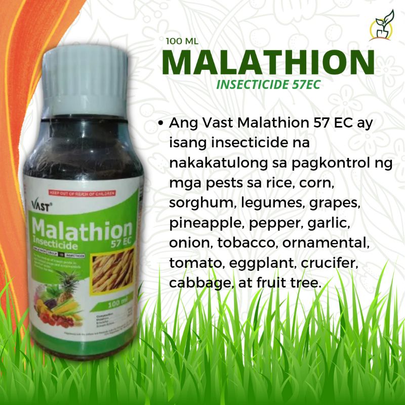 Vast Malathion Ec Insecticide Ml Shopee Philippines