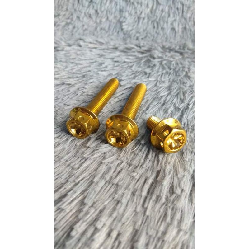 Gear Oil Bolts Set For Click V Or V Pcs Bolts Set Heng Shopee