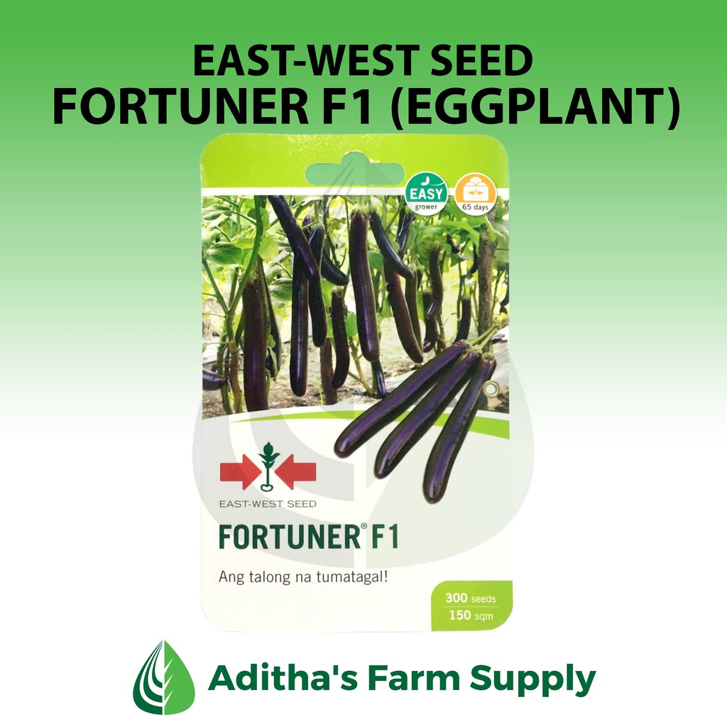 East West Seed Eggplant Talong Hybrid Varieties Calixto Amor