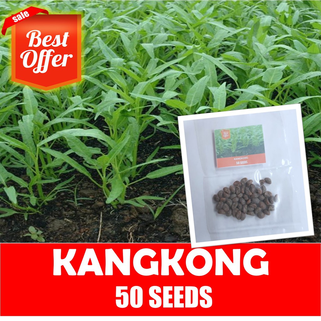 Kangkong Seeds Upland Kangkong Shopee Philippines