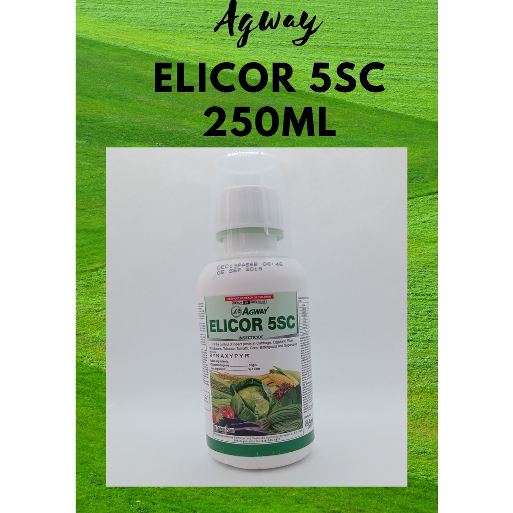 Agway ELICOR 5SC Insecticide 250ml Shopee Philippines