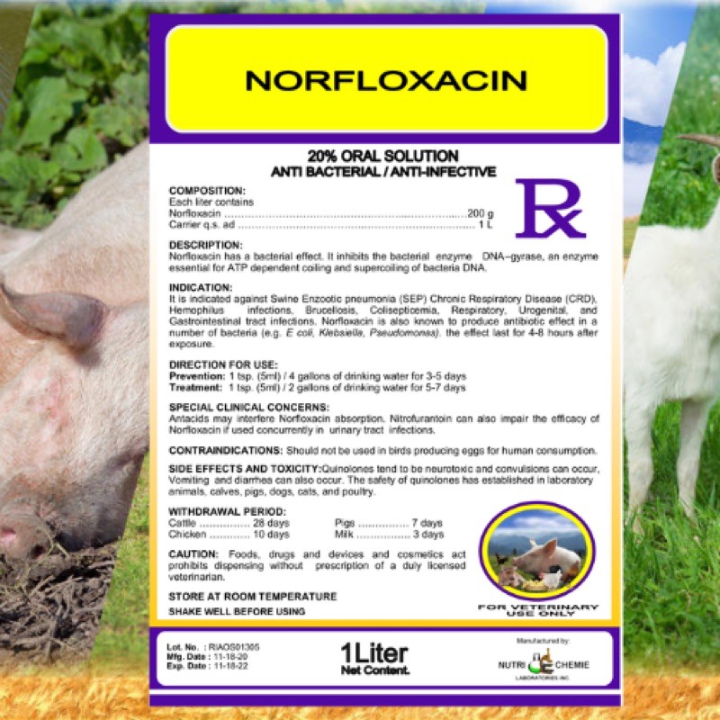 Norfloxacin Oral Solution Antibacterial Anti Infective For