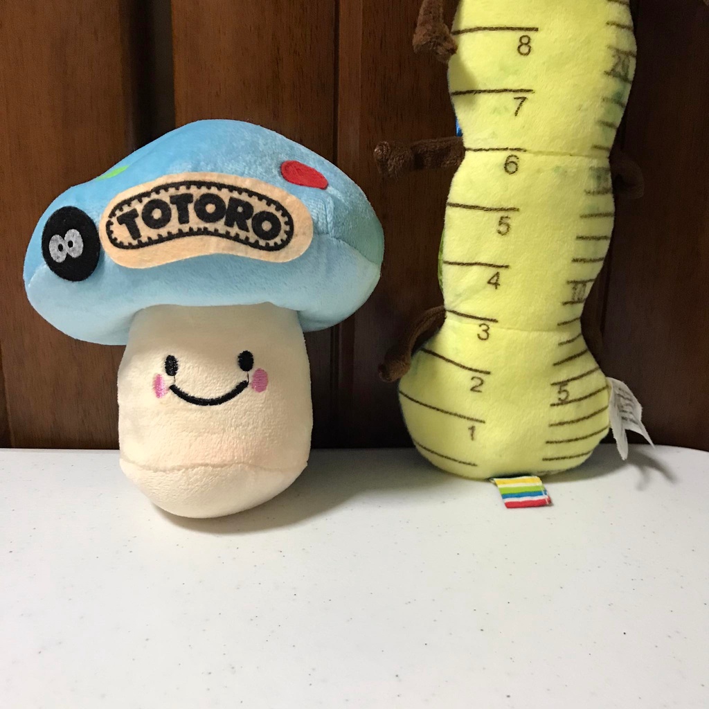 Totoro Mushroom Studio Ghibli Stuffed Toy Preloved Green Blue Shopee