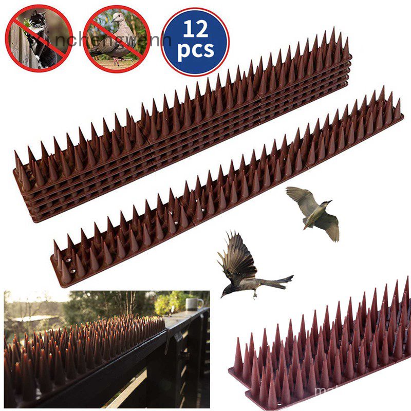 Spot Second KillFence Wall Spikes Garden Security Intruder Repellent