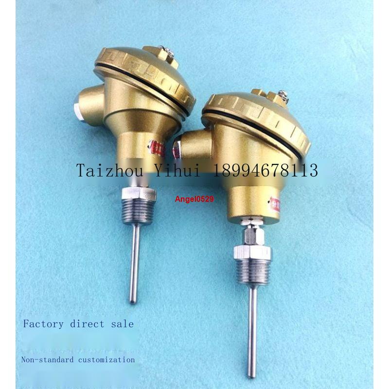 High Temperature Pt100 Temperature Sensor Wzp Pt100 Thermal Resistance