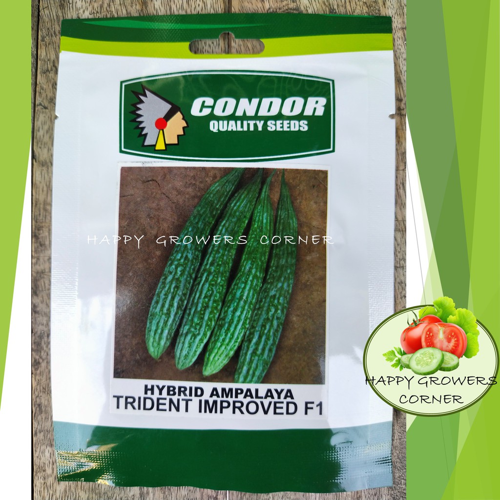 Ampalaya Trident Improved F Hybrid Grams Condor Seeds Shopee