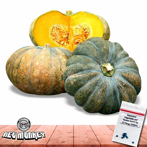 Squash Golden Suprema F1 5 Seeds Shopee Philippines