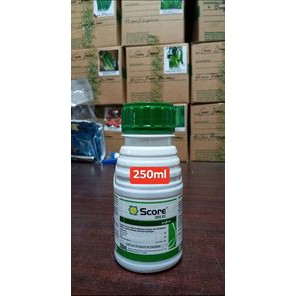 SCORE 250 EC SYSTEMIC SIZES 250mL OR 500mL BY SYNGENTA Shopee