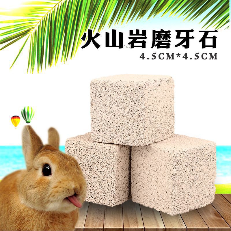 Molar Stone For Hamster Guinea Pig Chinchilla Rabbit Batu Mineral Asah