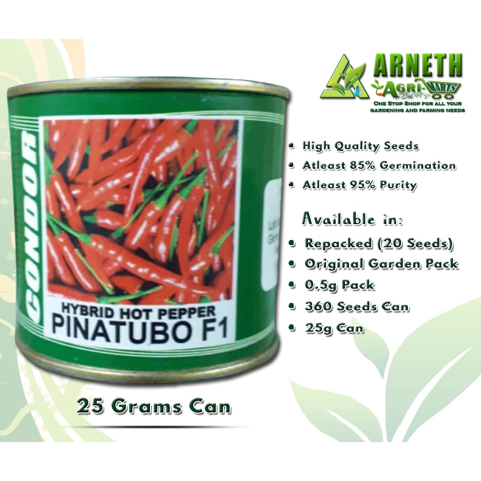 HYBRID HOT PEPPER SILI PINATUBO F1 SEEDS 25g CAN BY CONDOR LABUYO