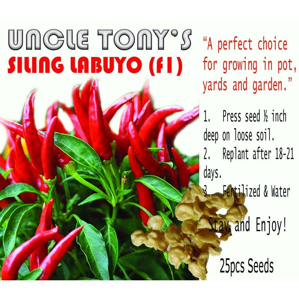 Siling Labuyo RED HOT PEPPER SEEDS F1 Hybrid Seeds Shopee Philippines