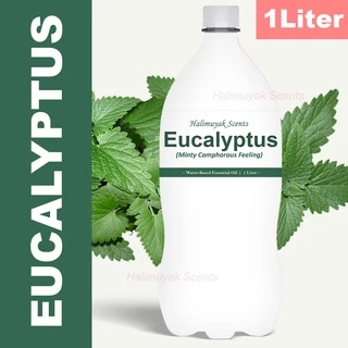 Eucalyptus Oil Best Prices And Online Promos Aug Shopee