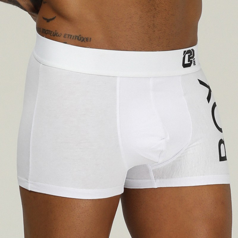 ORLVS Brand Men Boxer Sexy Gay Underwear Shorts Transparents Male Pants