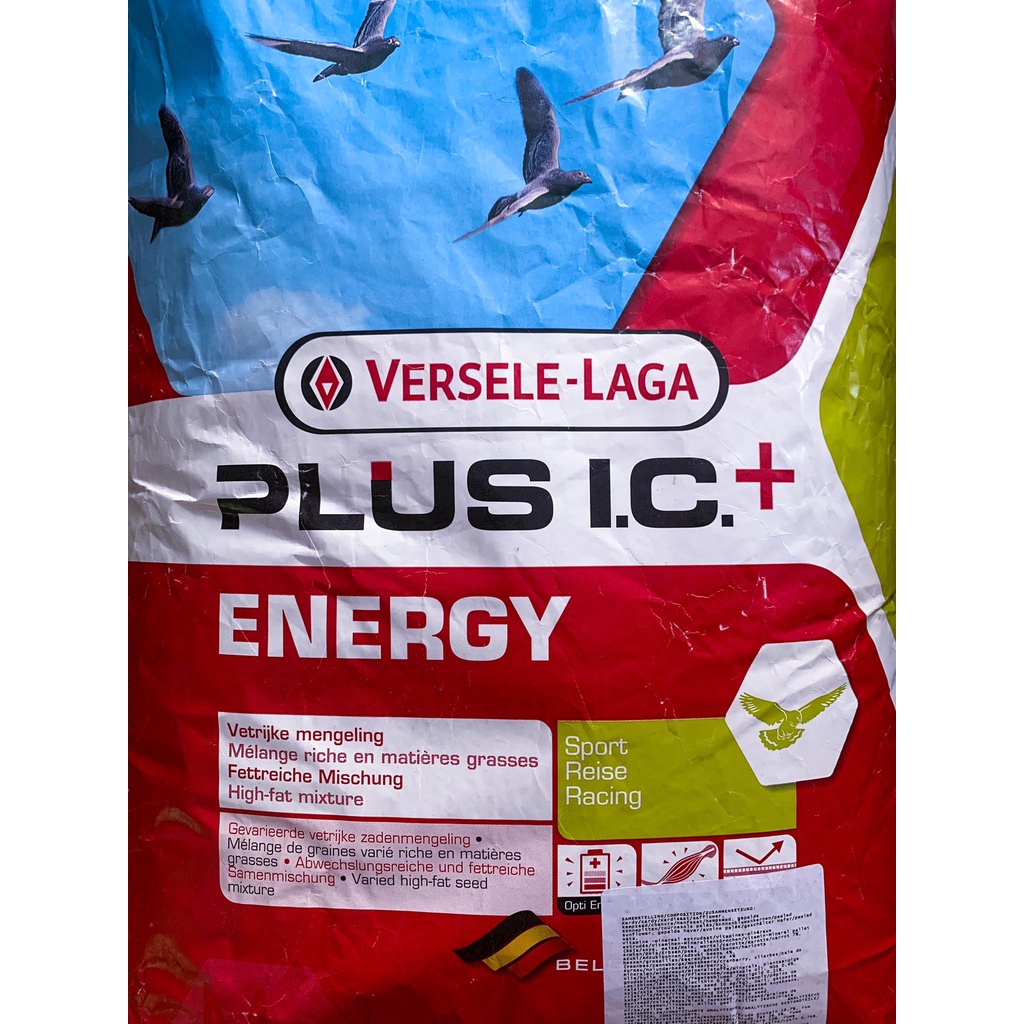 Versele Laga Plus I C Energy Bird Feed 500 Grams 1 KG For Pigeons