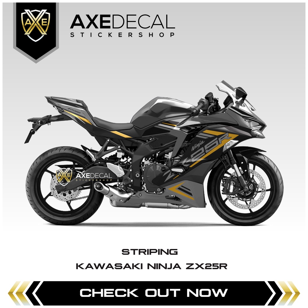 Striping Zx R Se Graphic Kawasaki Ninja Zx R Motorcycle Print