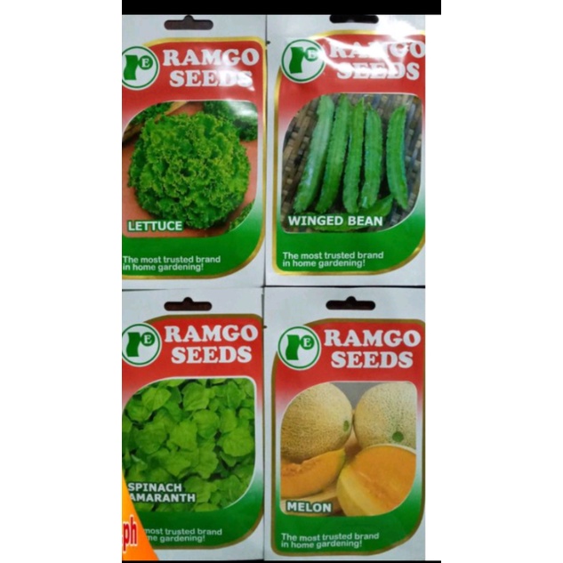 Ramgo Vegetable Seed Packs Winged Bean Sigarilyas Lollo Bionda