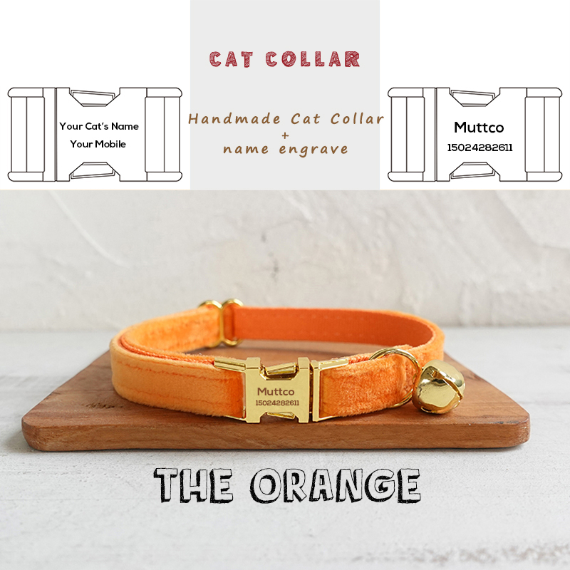 Customized Collar Puppy Personalized Cat Collar Kitten Collar