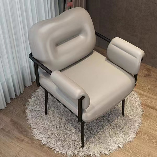 Influencer Chair Makeup Chair Desk Chair Nordic Ins Light Luxury Dining