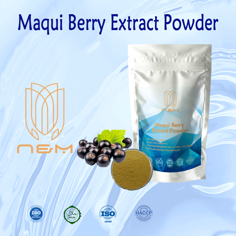 Maqui Berry Extract Powder Protect Eye Health Antioxidant And Anti