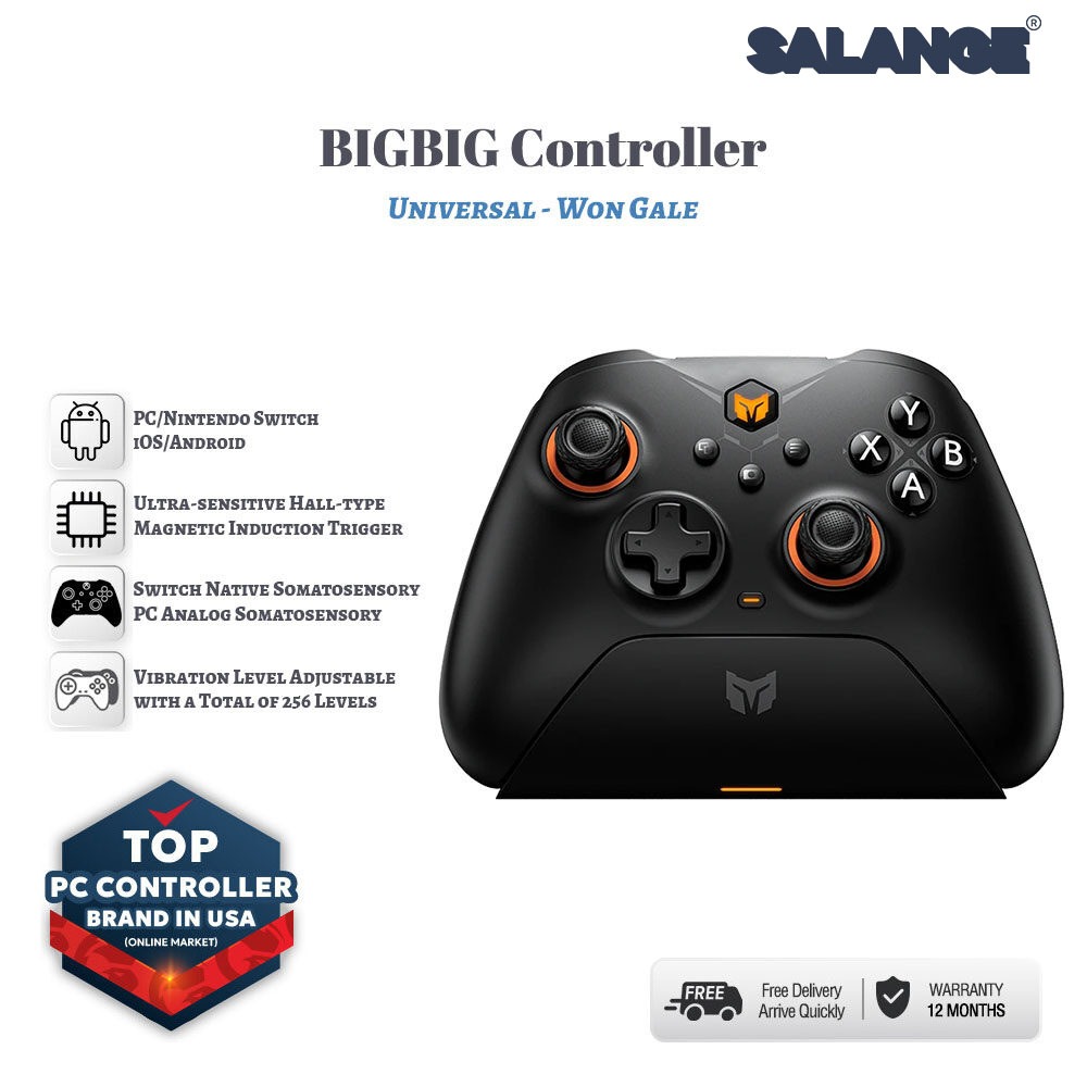 Salange Bigbig Won Gale Wireless Gaming Controller For Nintendo Switch