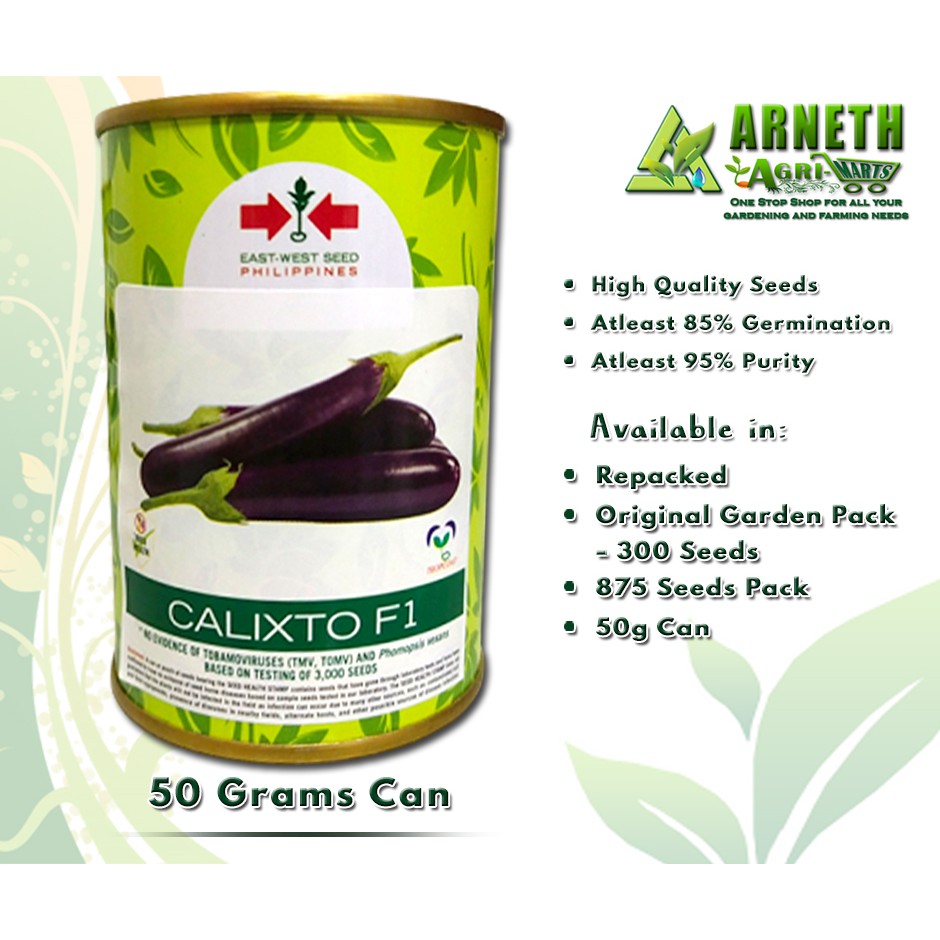 EAST WEST SEEDS CALIXTO F1 VARIETY EGGPLANT SEEDS 50grams CAN