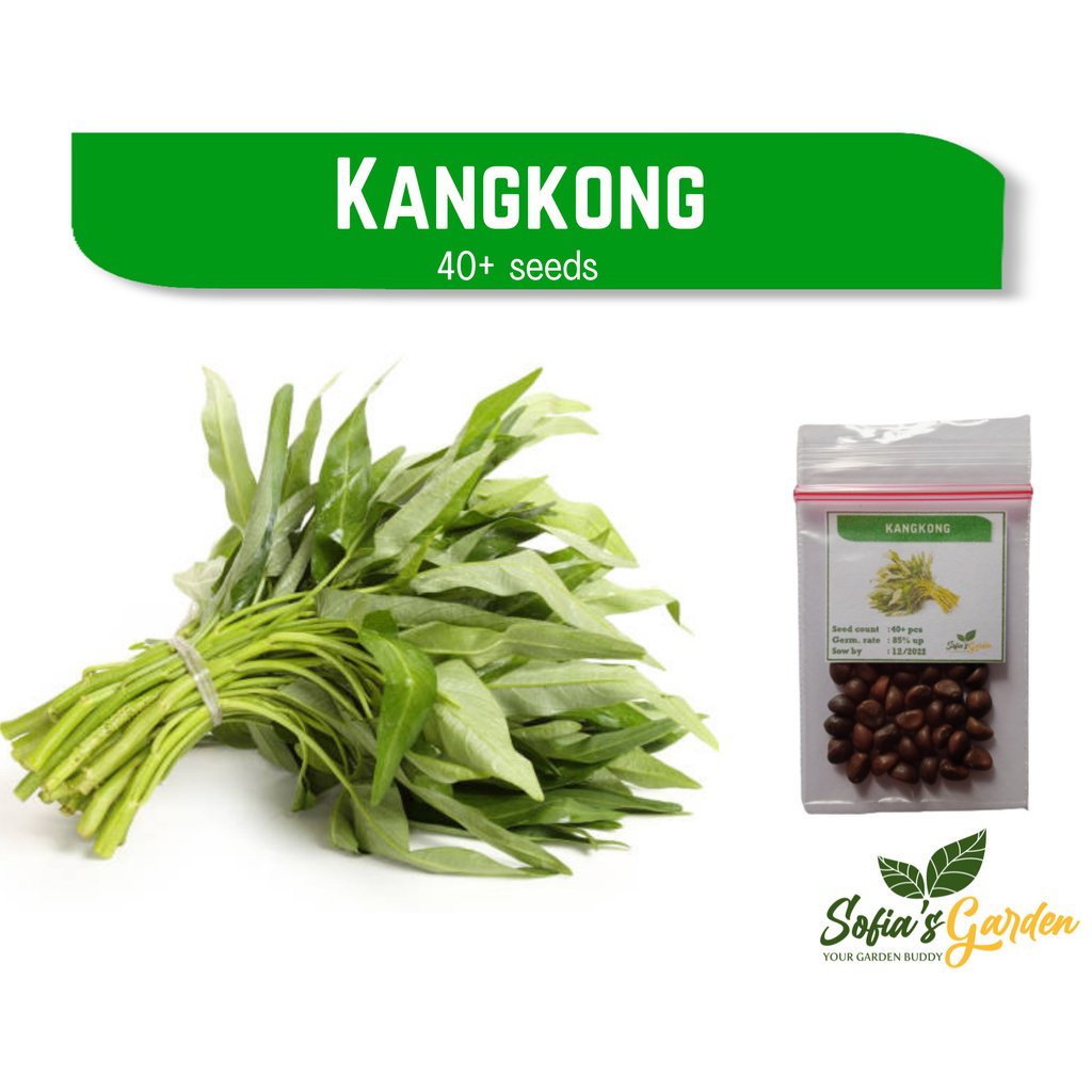 Upland Chinese Kangkong Vegetable Seeds 40 Seeds CIG6 Shopee Philippines