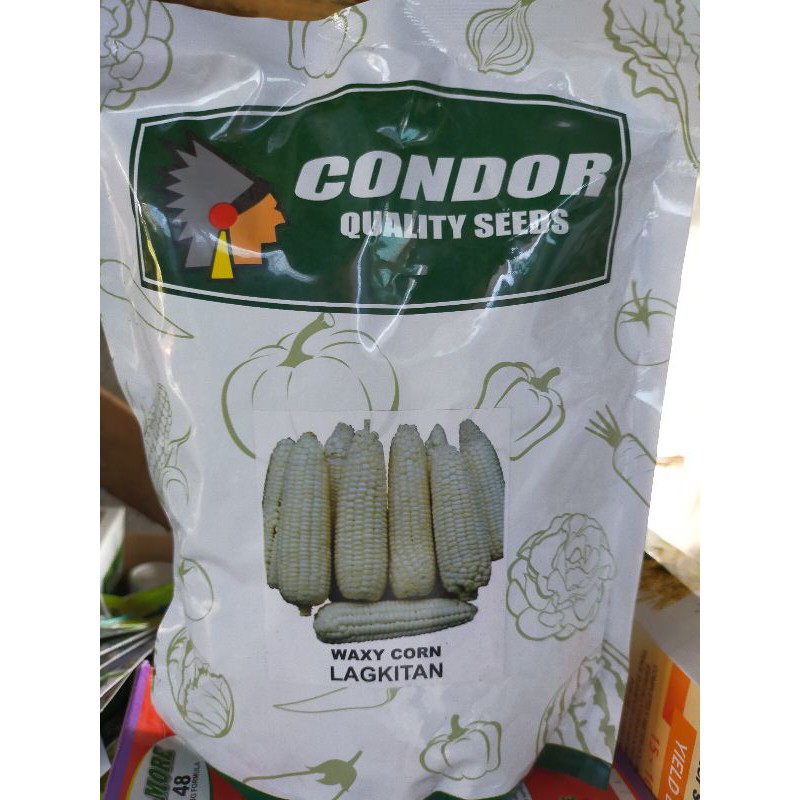 Lagkitan Mais Na Puti Kilo Condor Waxy Corn Shopee Philippines