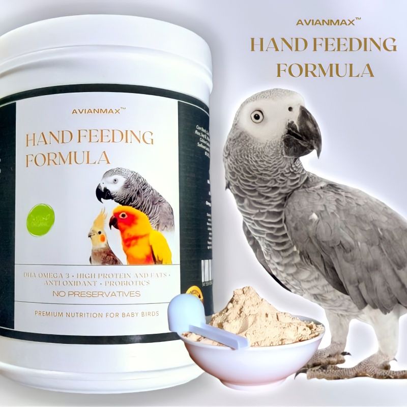 AVIANMAX Handfeed Formula Premium Hand Feed Formula For Your Baby