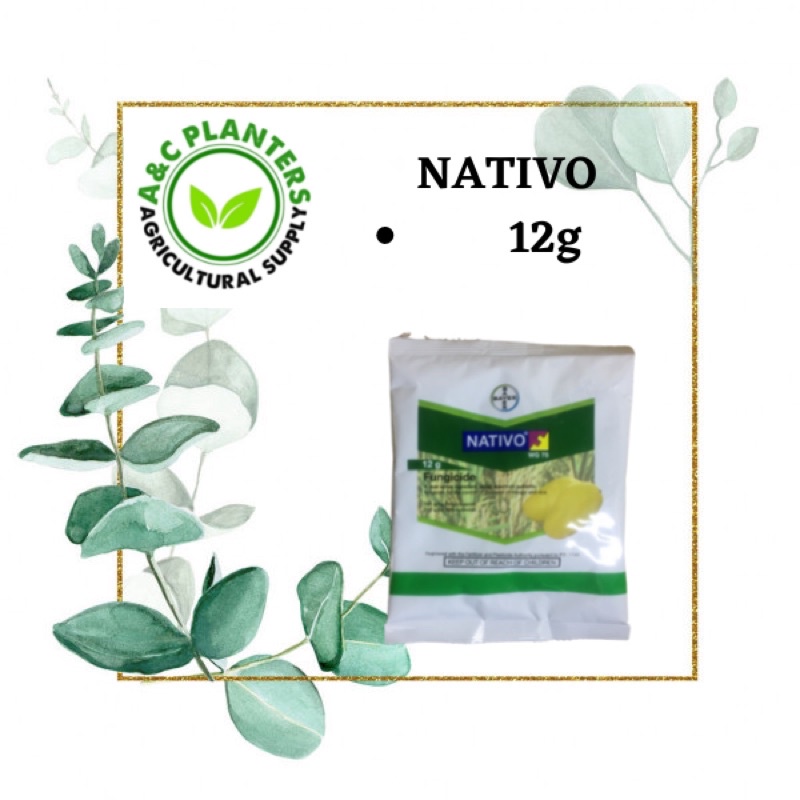 Nativo WG75 Fungicide 12grams Shopee Philippines