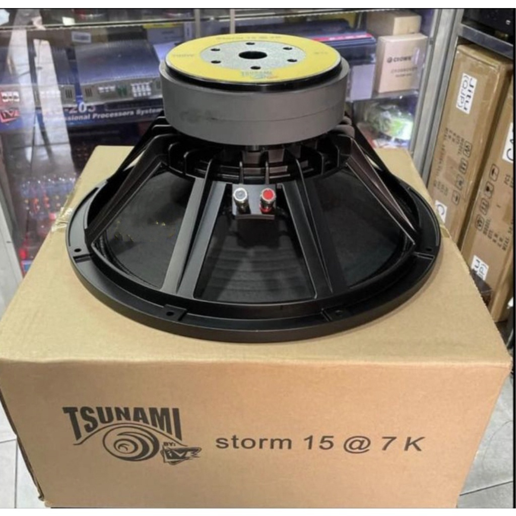 Tsunami By Live Storm K Dual Magnet Speaker Watts Shopee