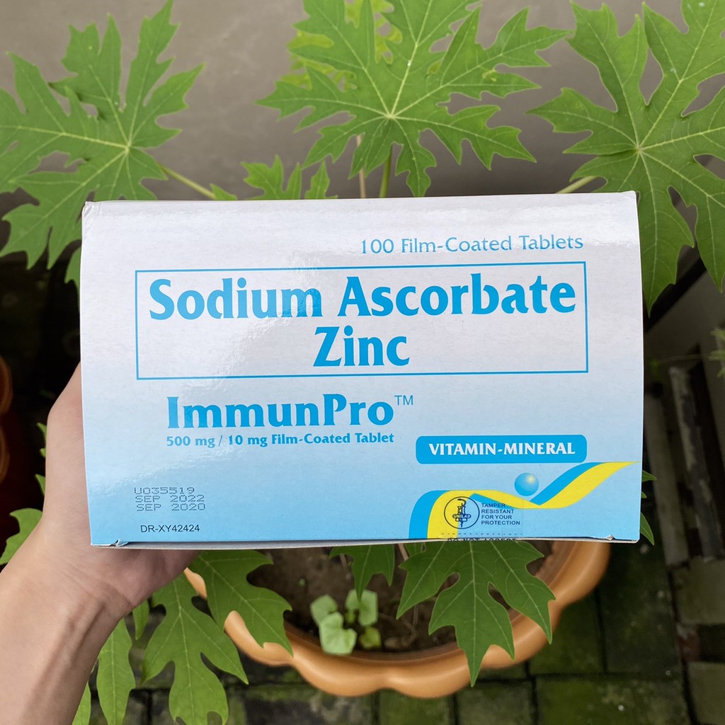 IMMUNPRO Sodium Ascorbate Zinc 500mg Sold Per Pc Shopee Philippines