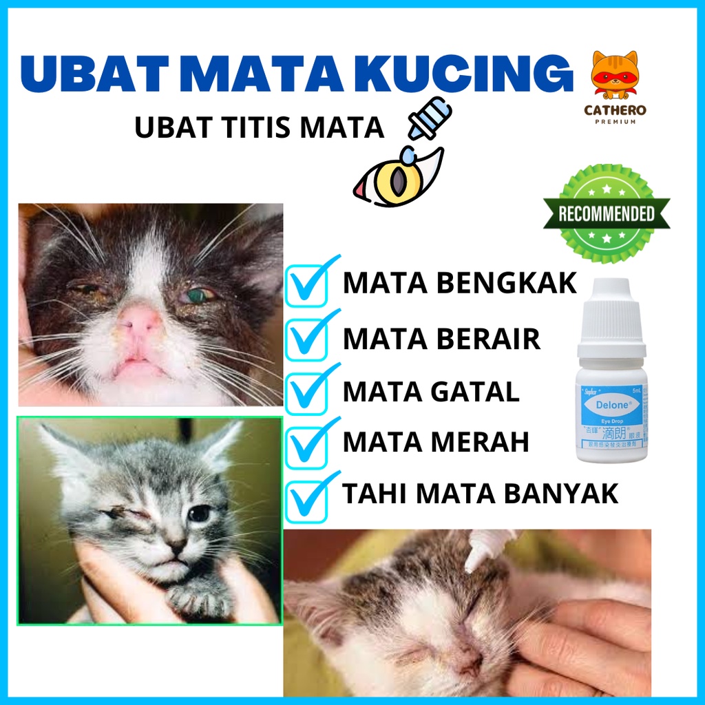 Cathero Ubat Titis Mata Kucing Ml Cat Eye Drop Sakit Mata Eye