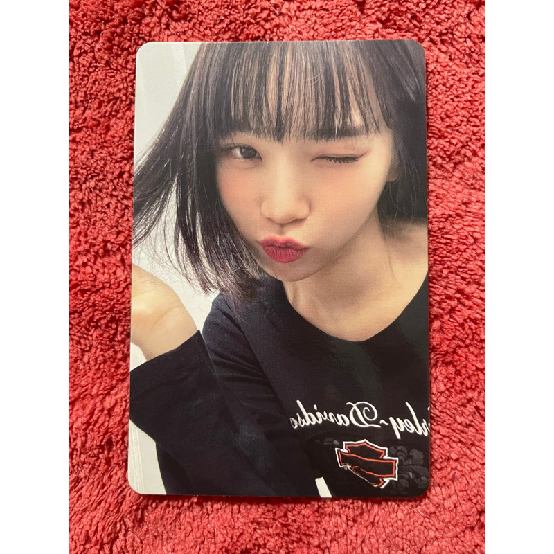 Official Photocard Chaewon Le Sserafim Album Antifragile Fearless Japan