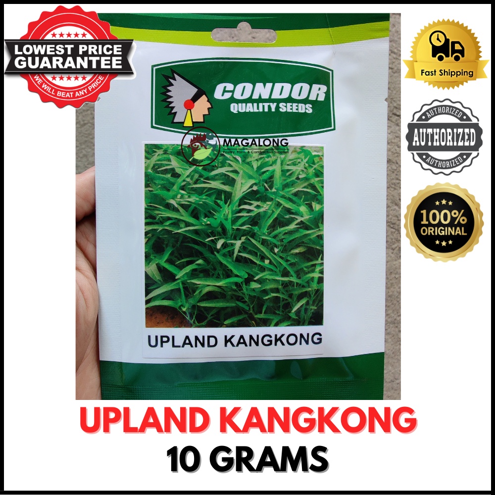 CONDOR SEEDS KANGKONG SEEDS UPLAND 10 Grams Shopee Philippines