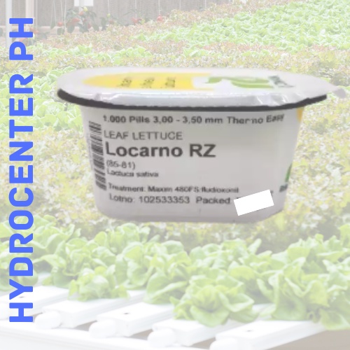 LEAF LETTUCE LOCARNO RZ THERMO PILL 1000 PILLS PELLETTED BY RIJK ZWAAN