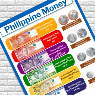 Educational Philippine Money Chart Laminated A4 Size Pera Ng