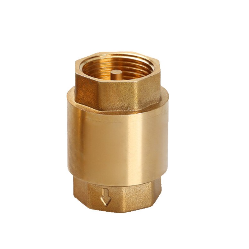 Brass Female To Female Thread In Line Spring Check Valve Vertical