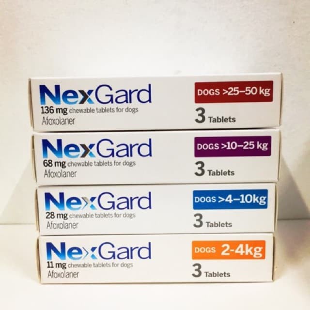 Nexgard For Mange Treatment