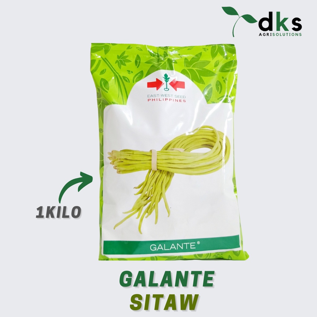 Galante Sitaw East West Seed 1 Kilo 1 2 Kilo Shopee Philippines