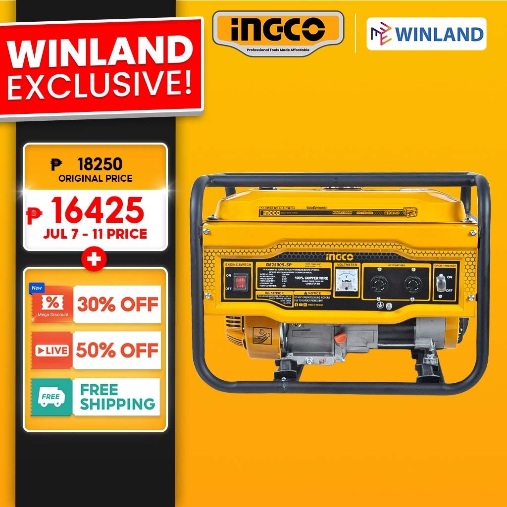 Ingco By Winland W Kva Gasoline Generator Ge P Ing Pt