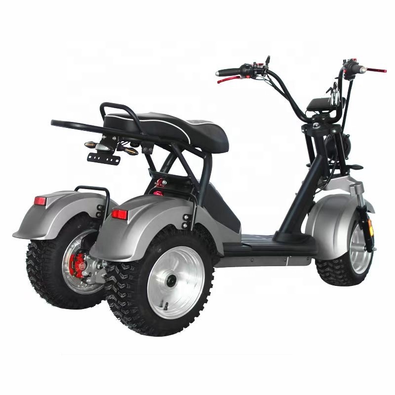 US EU Warehouse Electric Tricycles 3 Wheel Electric Cargo Bike Cargo