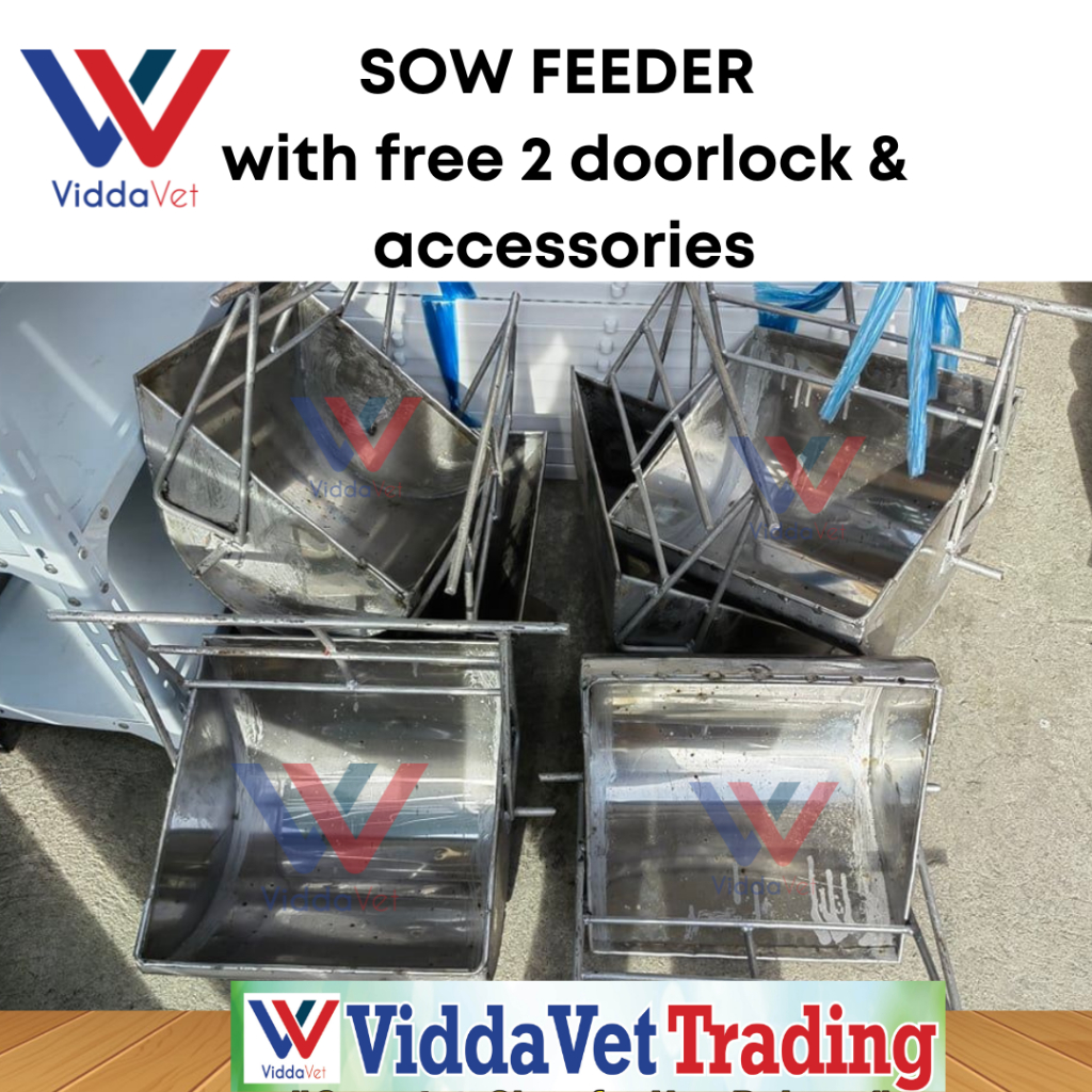 Viddavet Stainless Sow Feeder With Pcs Galvanize Doorlock Shopee