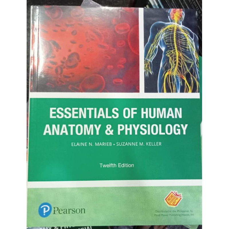 Essential Of Human Anatomy And Physiology By Marieb The Edition Set