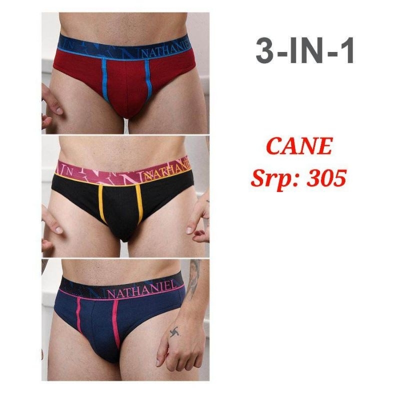 NATASHA CANE 3IN1 BIKINI BRIEF Shopee Philippines