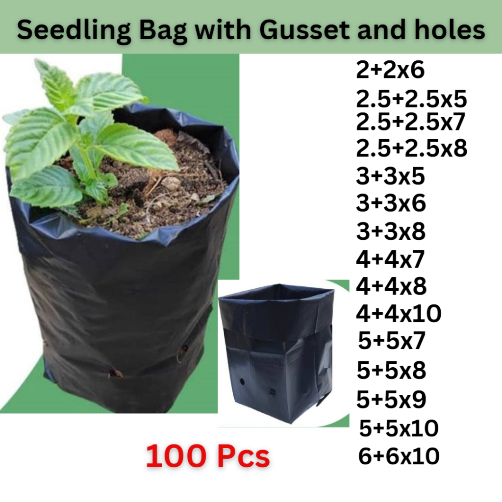 Seedling Bag With Gusset And Holes 100 Pcs Shopee Philippines