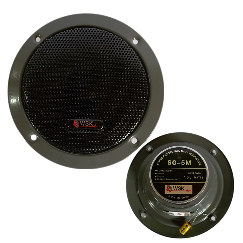 Wsk Sg M Professional Hi Fi Midrange Speaker With Free Capacitor