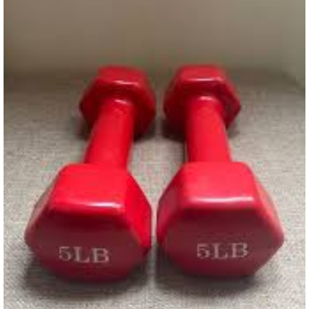 Muscle Power Lady Dumbbell Set Pair 1 Lbs To 4Lbs 5Lbs 2pcs Pair