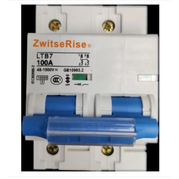 ZwitseRise 80A Miniature Circuit Breaker 48V DC 1000V DC 2Pole DC