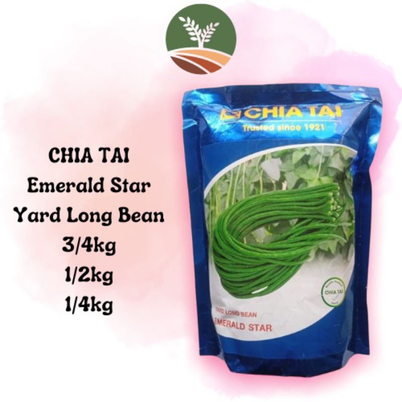 Emerald Star Chia Tai Seed Green Yard Long Bean Sitaw Sitao Vegetable