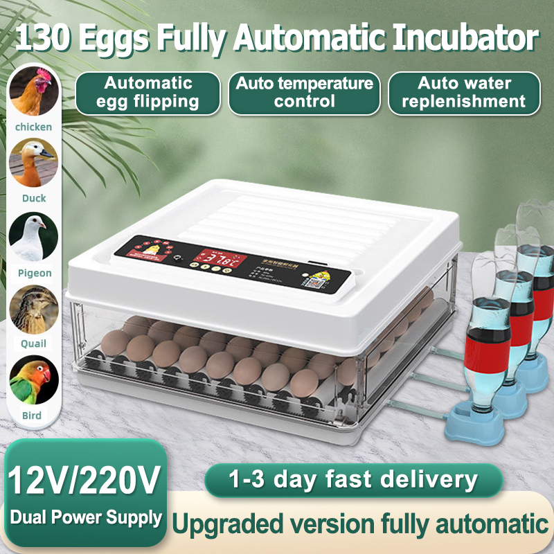 220V 12V Eggs Incubator 24 48 64 130 Automatic Constant Temperature